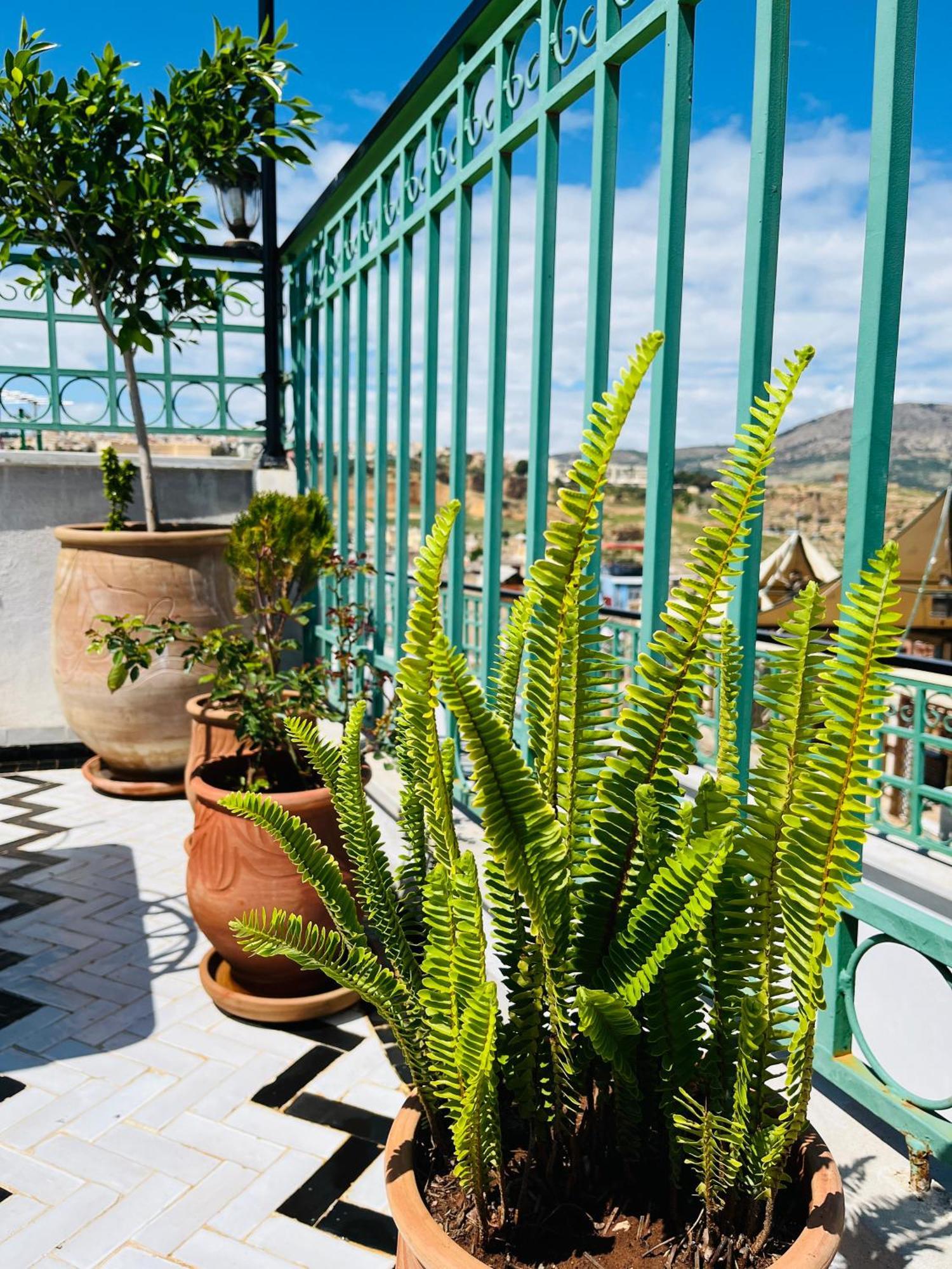 Riad Fes Miracle Exterior foto